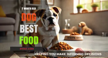 Optimal Nutrition for Your 7-Month-Old Dog: A Guide to the Best Foods