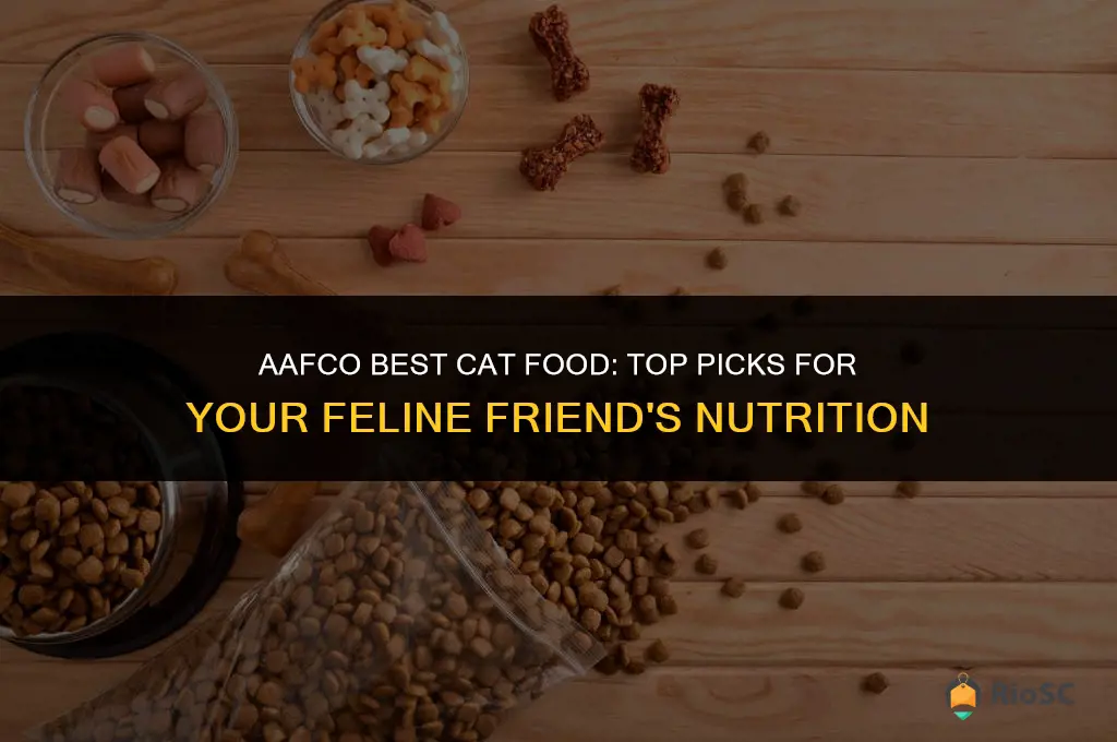 aafco best cat food