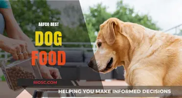 Top AAFCO-Approved Dog Foods: Nutrition and Taste Combined for Your Furry Friend