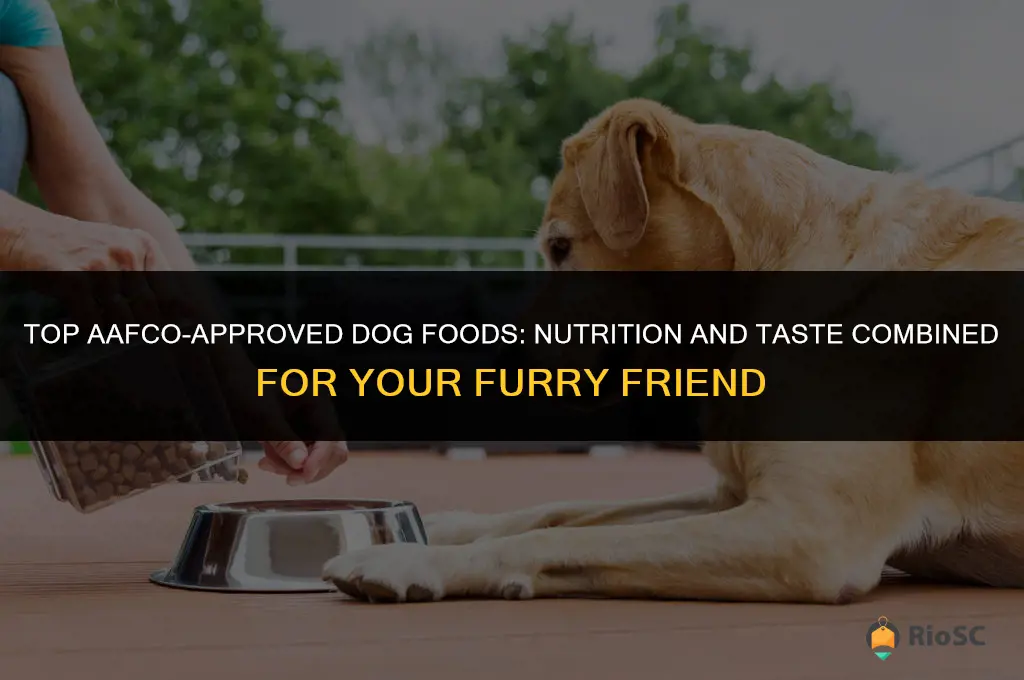 aafco best dog food