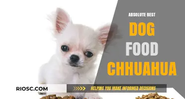 Top-Rated Dog Food for Chihuahuas: Nutrition and Taste Combined