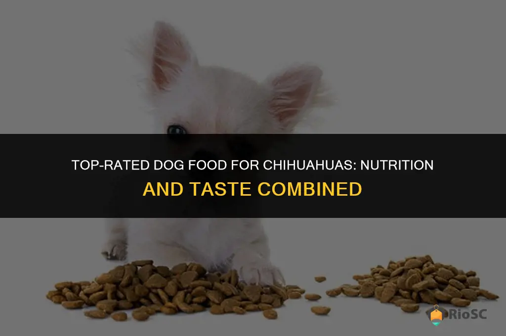 absolute best dog food chhuahua