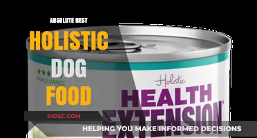 Unleashing Optimal Health: The Absolute Best Holistic Dog Food for Your Furry Friend