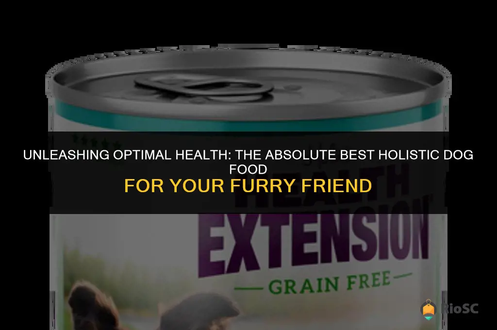 absolute best holistic dog food