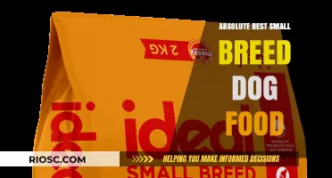 Top-Rated Small Breed Dog Foods: Nutrition and Taste Combined