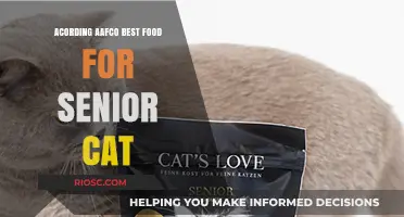 AAFCO's Top Picks: Nourishing Senior Cats for Optimal Health