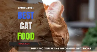 Purr-fect Nutrition: Discover the Best Cat Food for Your Adorable Feline Friend at Home