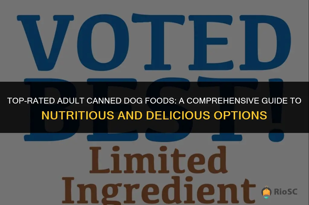 adult best canned dog food