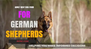 Nutrition for Noble Companions: The Best Dog Food for Adult German Shepherds