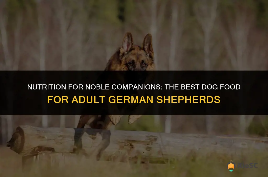 adult best dog food for german shepherds