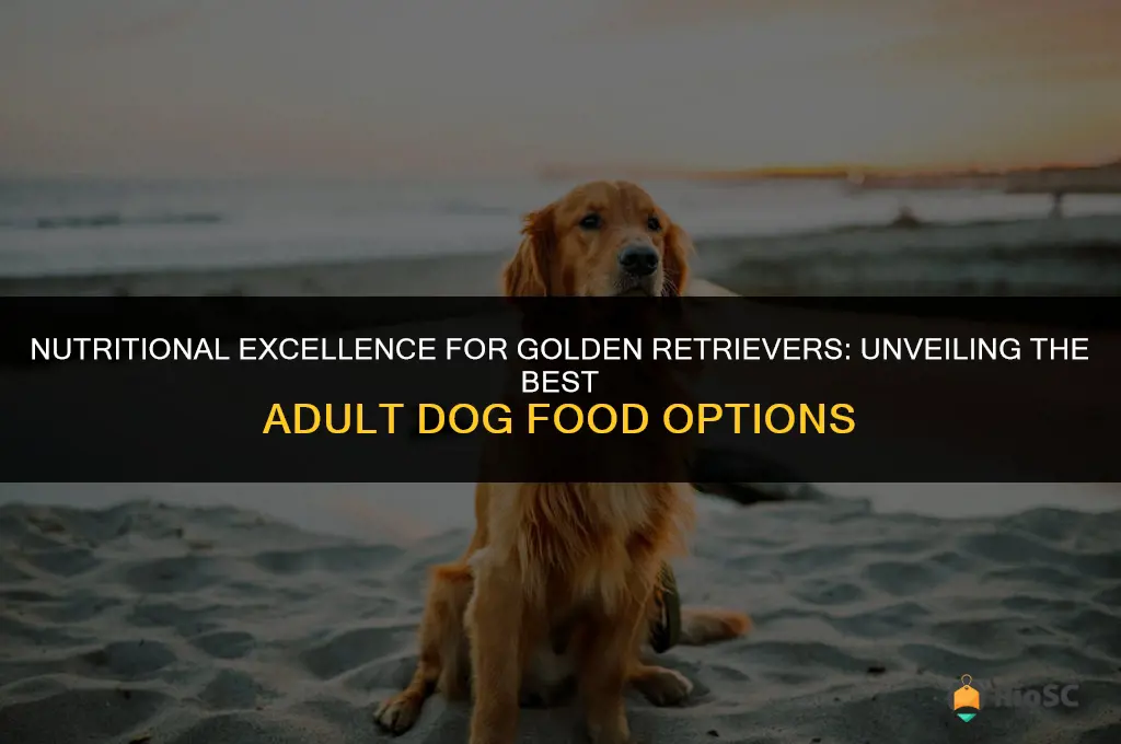 adult best dog food for golden retrievers