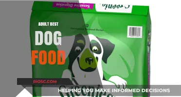 Top-Rated Adult Dog Foods: A Comprehensive Guide to Nutritious Choices for Your Furry Friend