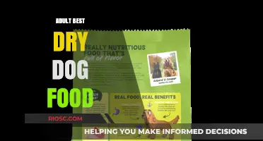 Top Picks for Adult Dogs: The Best Dry Dog Food Options