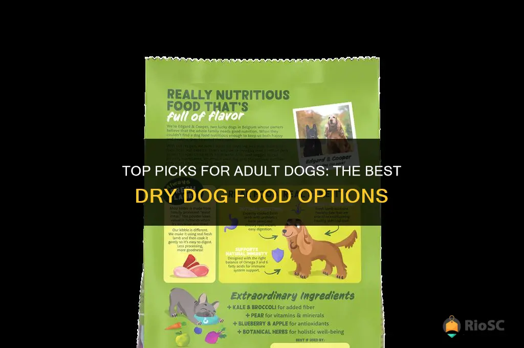 adult best dry dog food