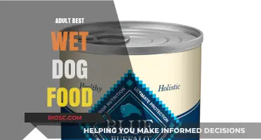 Top Picks for Your Furry Friend: The Best Wet Dog Food for Adult Dogs