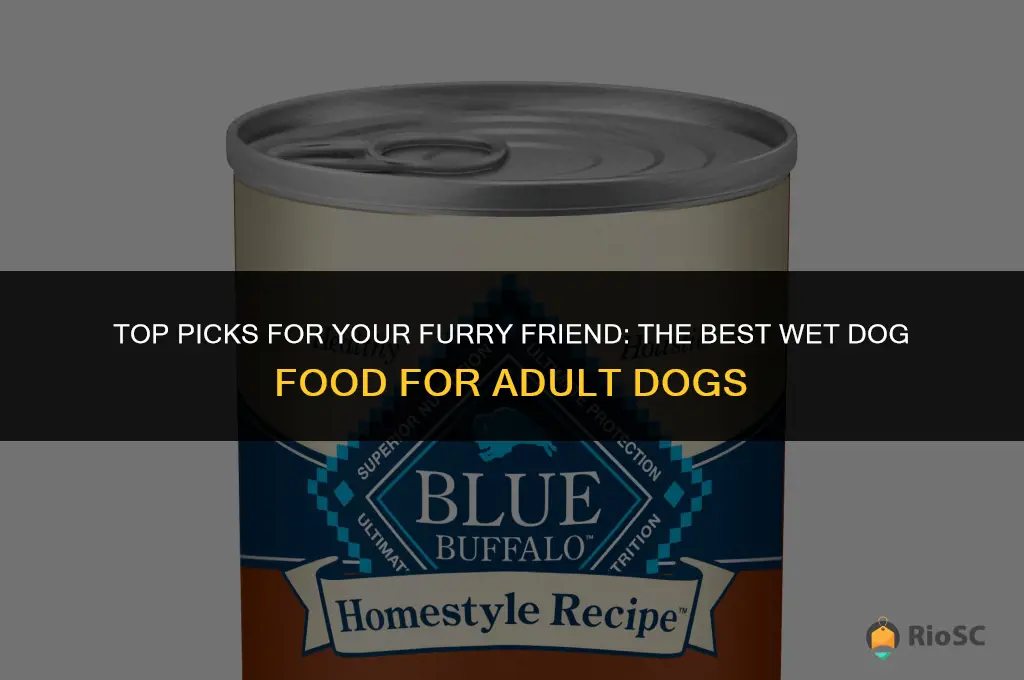 adult best wet dog food