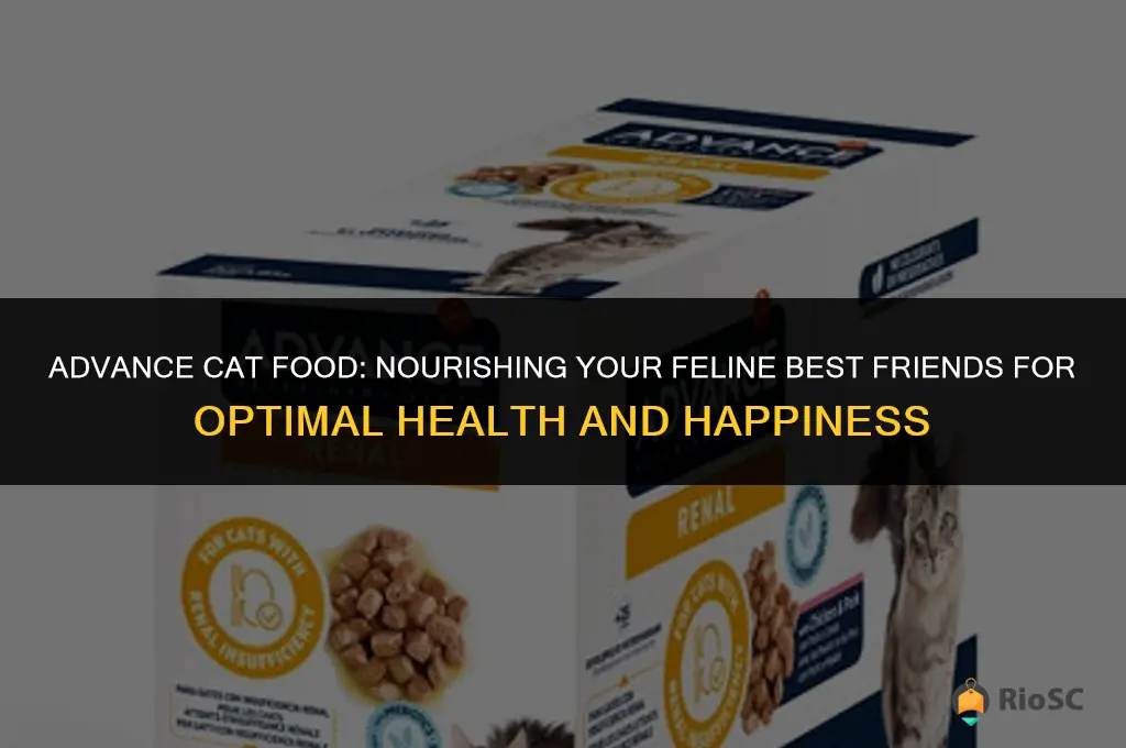 advance cat food best friends