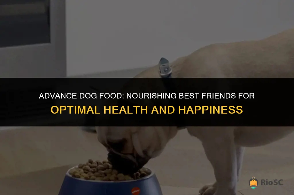 advance dog food best friends