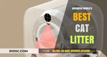 Revolutionary Advanced Cat Litter: The Ultimate Solution for Odor Control and Comfort