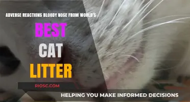 World's Best Cat Litter Linked to Adverse Reactions: Pet Owners Report Bloody Noses in Cats