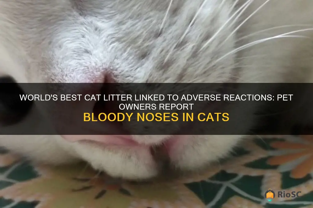 adverse reactions bloody nose from world