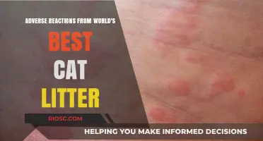 World's Best Cat Litter Linked to Unexpected Adverse Reactions in Pets and Owners