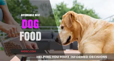 Top Picks for Budget-Friendly Dog Food: Quality Nutrition Without Breaking the Bank
