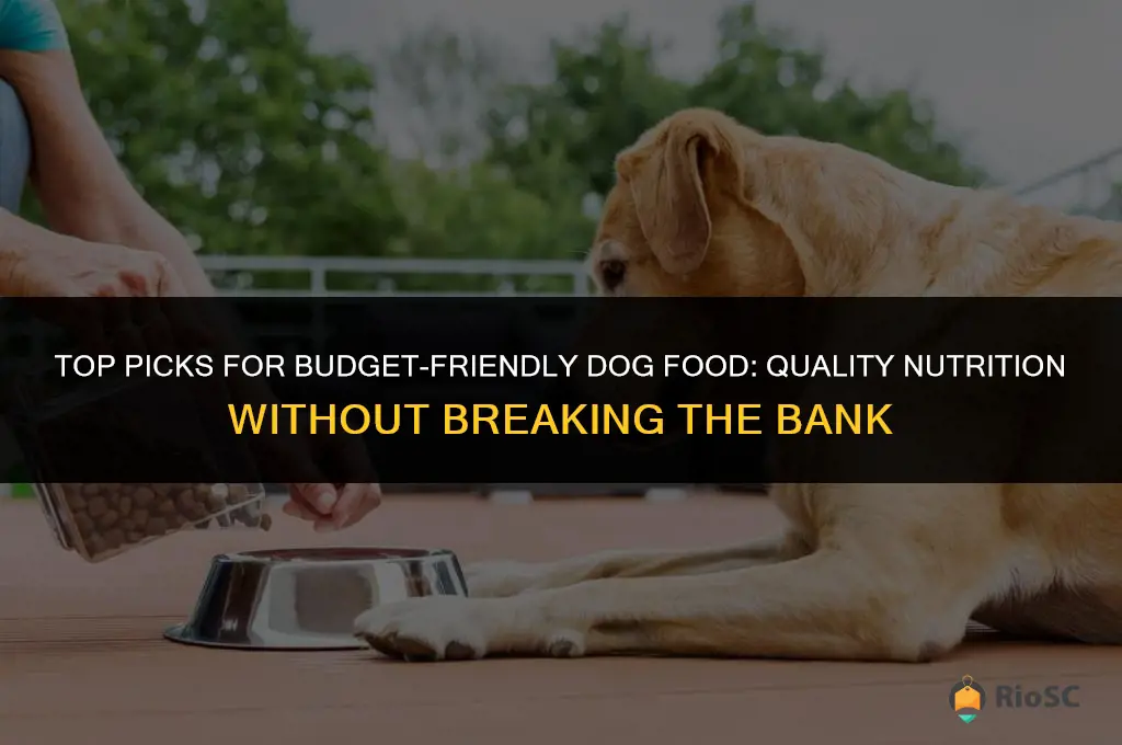 affordable best dog food