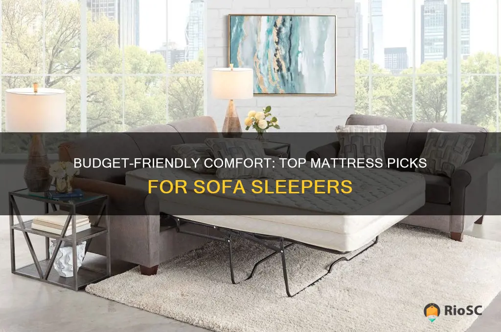 affordable best mattress for sofa sleepers