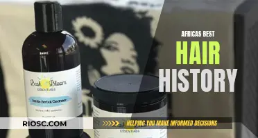 The Evolution of Africa's Best Hair: A Historical Perspective