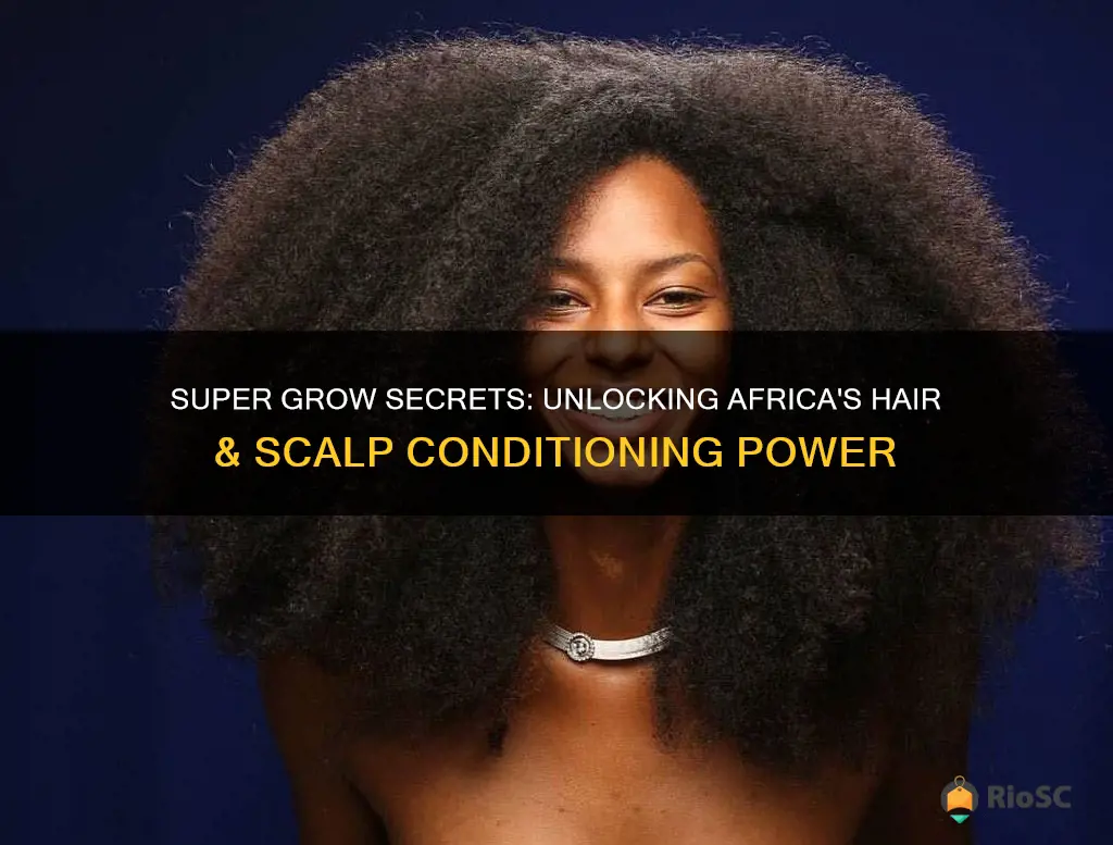 africas best super grow hair & scalp conditioning