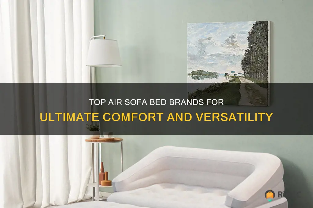 air sofa bed best brands