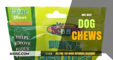 Top AKC-Approved Dog Chews for Healthy Teeth and Happy Pups