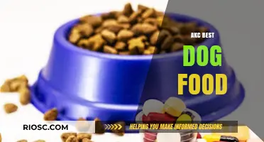 Top Picks for Your Furry Friend: AKC's Best Dog Food Recommendations