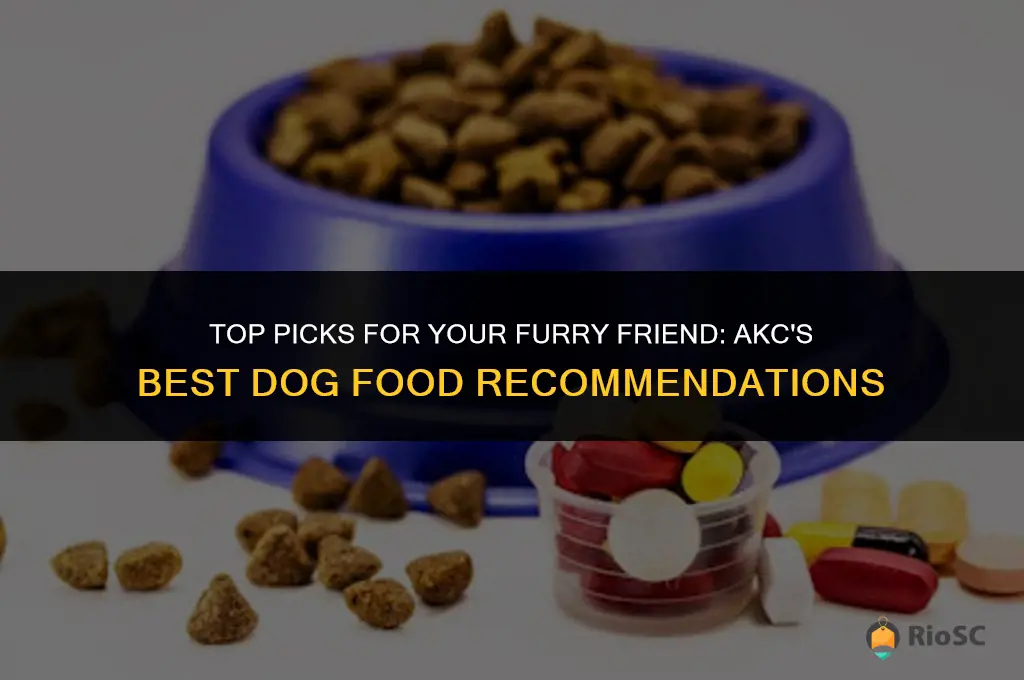 akc best dog food