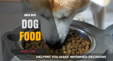 Top Nutrition Picks: The Best Dog Food for Your Akita's Health and Happiness