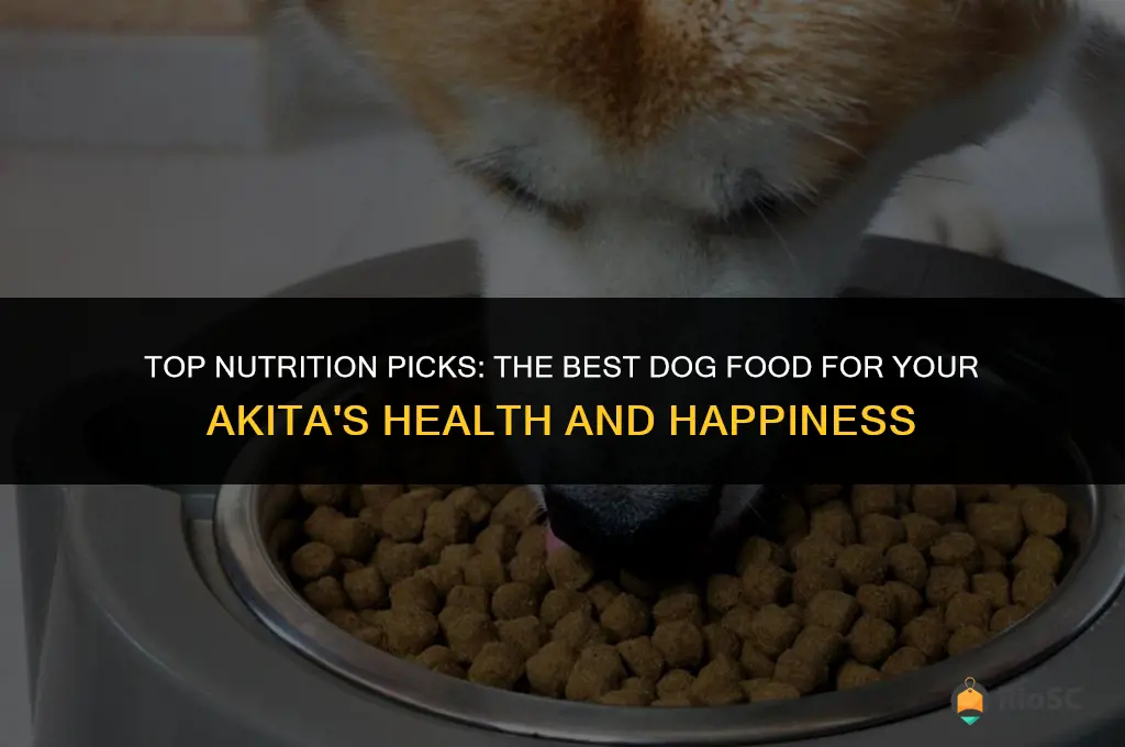 akita best dog food