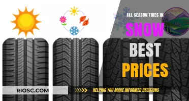 Top Picks for All-Season Tires in Snow: Performance Meets Affordability