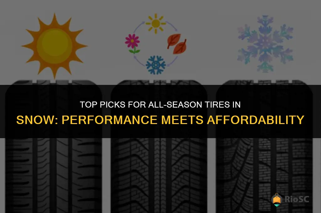 all season tires in snow best prices