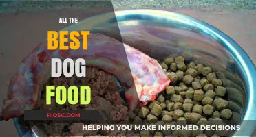 Top Picks for Your Furry Friend: The Best Dog Food Options