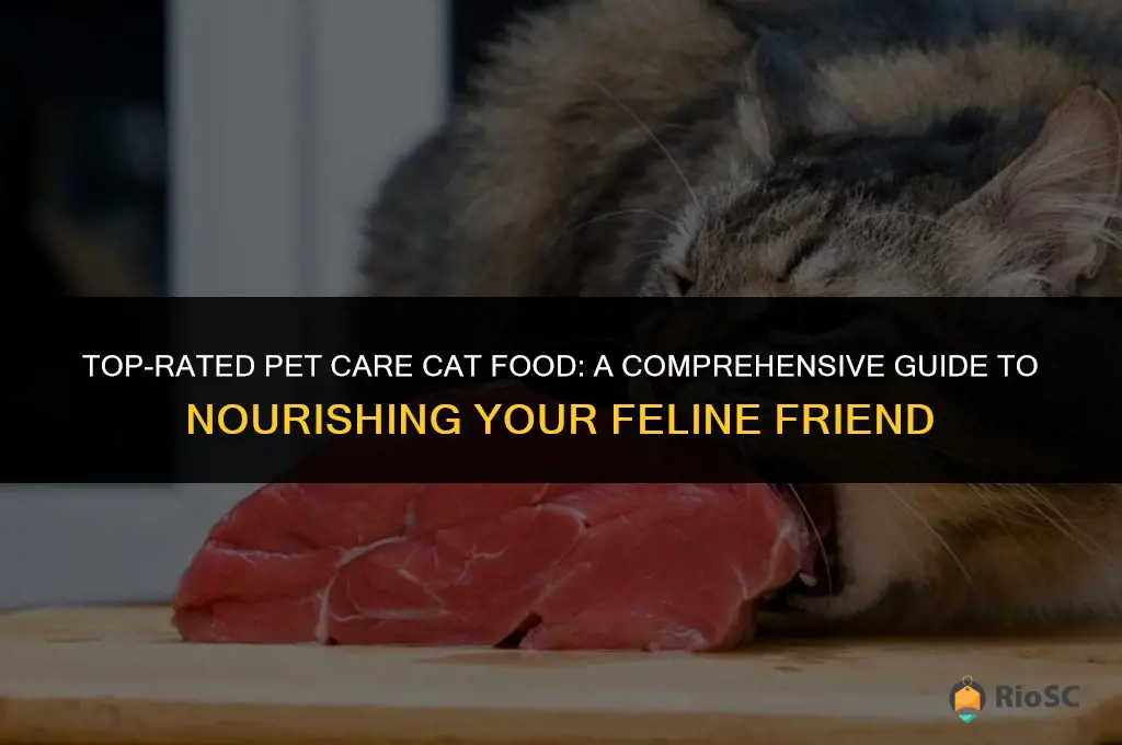 all the best pet care cat food