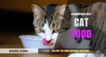 Top Picks for Feline Nutrition: AllAboutCats' Guide to the Best Cat Food