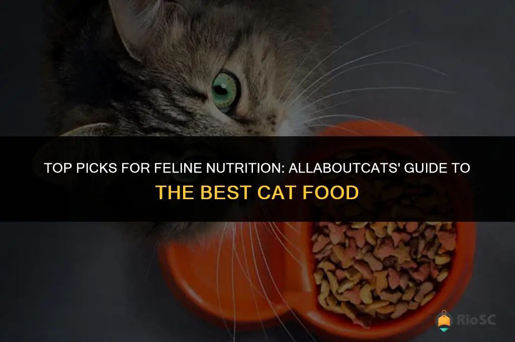 allaboutcats best cat food