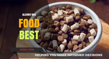 Top Picks for Allergy-Friendly Dog Food: A Comprehensive Guide