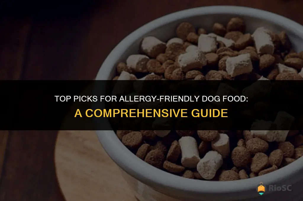allergy dog food best
