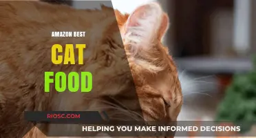 Top Picks for Feline Nutrition: Amazon's Best Cat Food Options