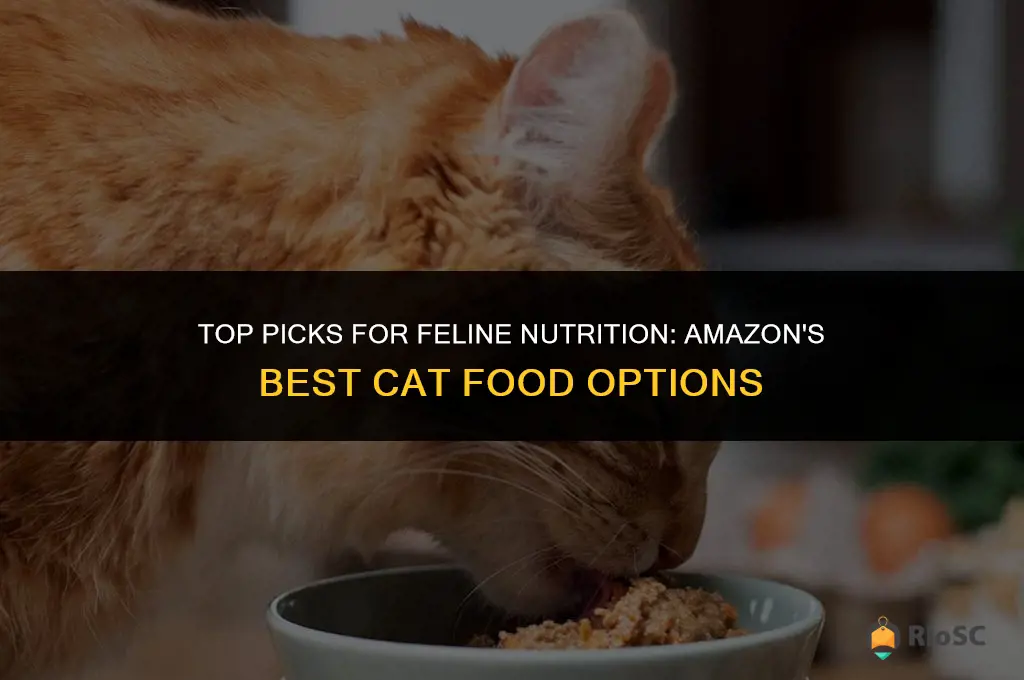 amazon best cat food