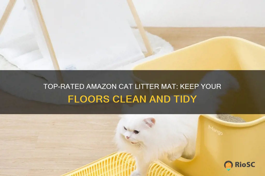 amazon best cat litter mat