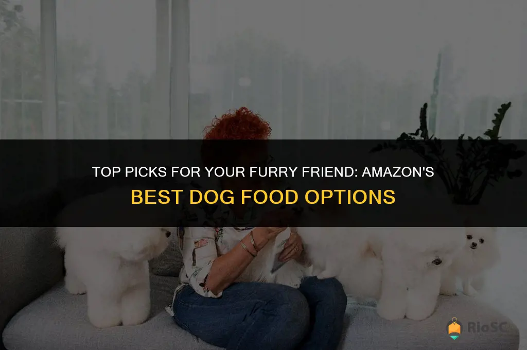 amazon best dog food