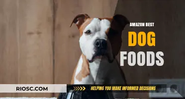 Top Picks for Your Furry Friend: Amazon's Best Dog Foods